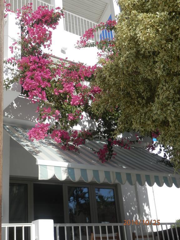 Γλάρος Ξενοδοχείο - Διαμερίσματα Αγία Γαλήνη Δωμάτιο φωτογραφία